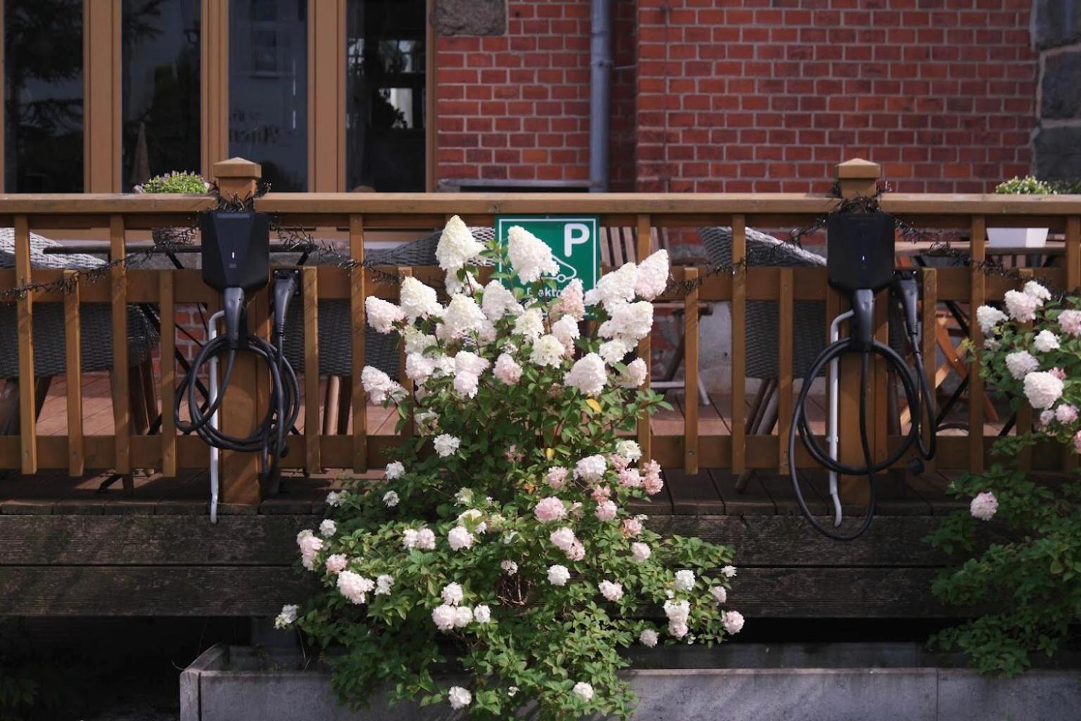 Comfort-Hotel Garni Schierker Waldperle - Inklusive Wellness Εξωτερικό φωτογραφία